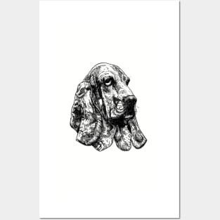 Basset hound dog drawing Posters and Art